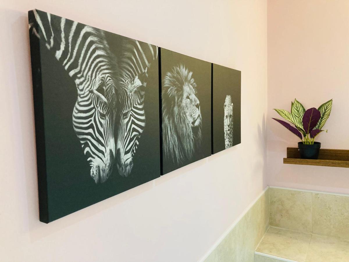 Jungle Escape, City Apartment With Parking & Terrace Chester Esterno foto